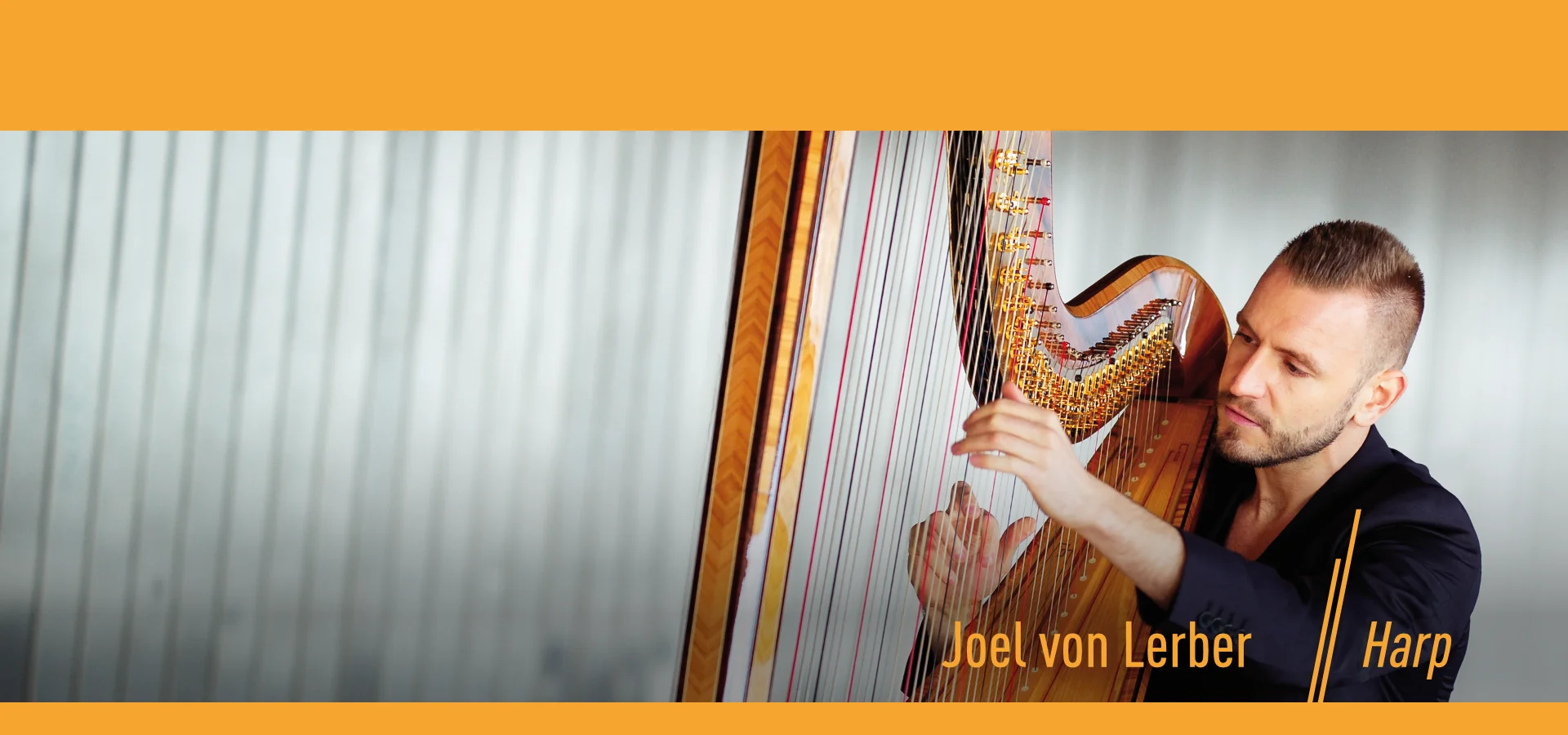 Artwork für das Musikalbum „Harp“ von Joel von Lerber