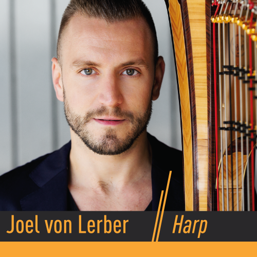 CD-Artwork Joel von Lerner - Harp